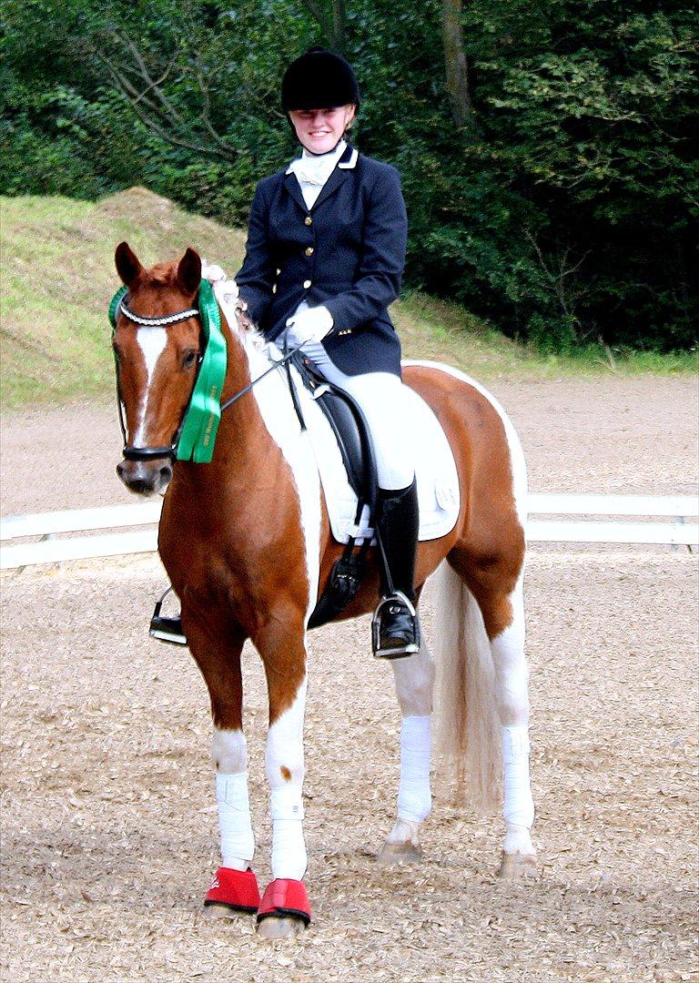 Anden særlig race Jazzo A-pony - Århh mussi <3 Nr. 6 til DM for hold 2011  billede 3