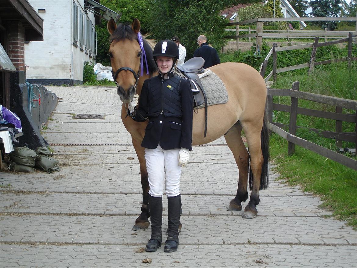 Anden særlig race Titan - Efter springstævne ;D Vi fik 4. plads
Foto: Mor billede 19