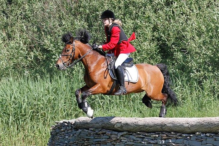 New Forest Ørholm's Parcifal (Part) billede 11