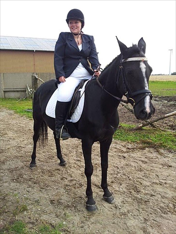 Anden særlig race Bella billede 6