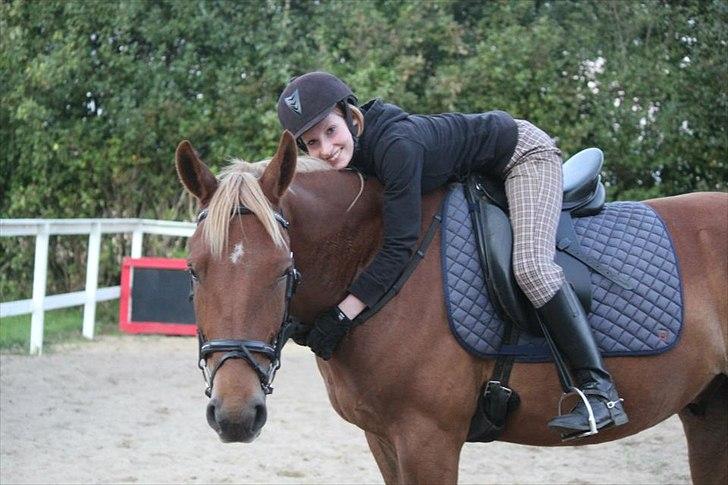 Anden særlig race Julius Cæsar *Solgt* - 05-09-2011
Fotograf: Kathrine S.M billede 7