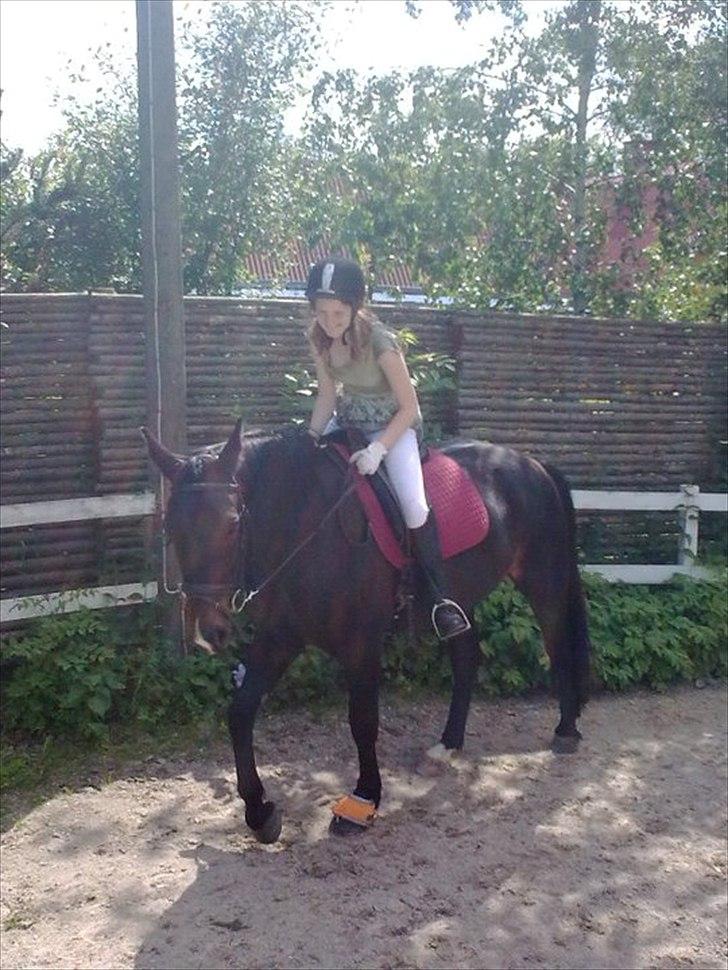 Oldenborg Leeann piper - Gammelt billed, havde næsten lige fået den dejlige tøs :) Det er 3år siden :) billede 3