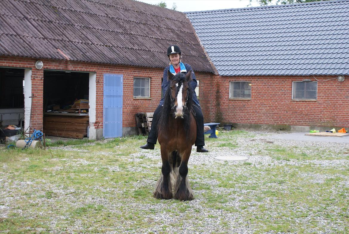 Irish Cob Duke - Min første tur på Duke.  billede 2