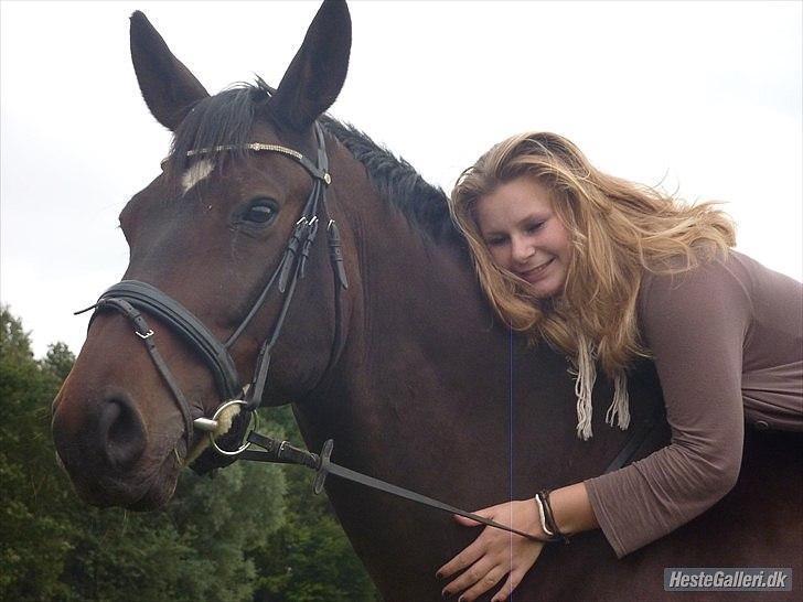 Dansk Varmblod Marco Bell (R.I.P) billede 2