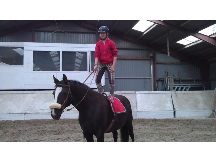 {{currentPhoto.altText}} billede {{currentPhoto.number}}