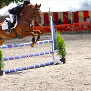 Irsk Sportspony Pimboli <3 love you:-*