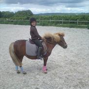 Anden særlig race bibbi<3  Solgt:(