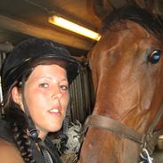 Dansk Varmblod Molskegårds Kanue