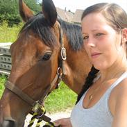 Dansk Varmblod Molskegårds Kanue