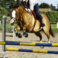 Quarter Frontiers Four Socks