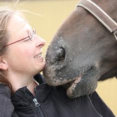 Anden særlig race Tchad the Spot (Død 2012)