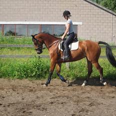 Anden særlig race twister