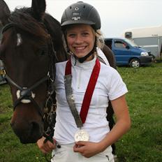 Hollandsk Sportspony Carlo