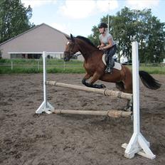 Anden særlig race twister