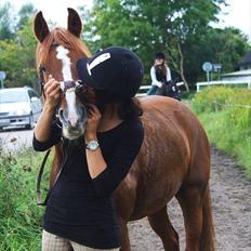 Anden særlig race JOY / VSR