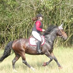 Anden særlig race Sola