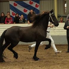 Frieser Zophira von Therkelsen