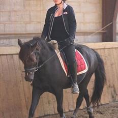 Tysk Sportspony Patriot SOLGT :(