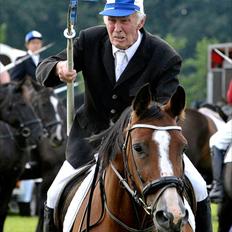 Dansk Varmblod Leika *R.I.P*