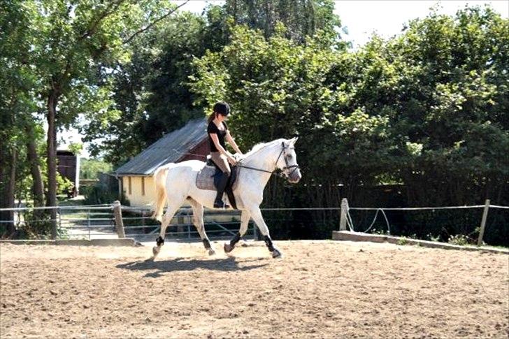 Anden særlig race Mrs. Bine - Fotograf Fie - Sommeren 2010! billede 15