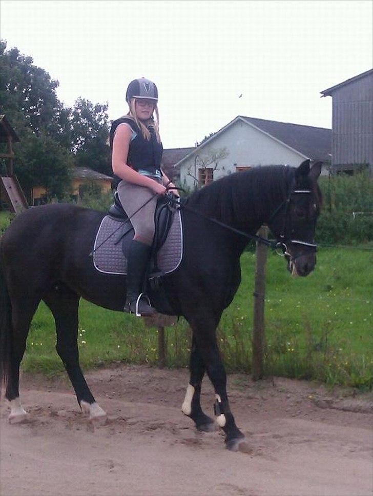 Oldenborg Nicolé <3 - 4. eller 5. gang jeg rider hende :-) Den hest er altså sød <3 billede 13
