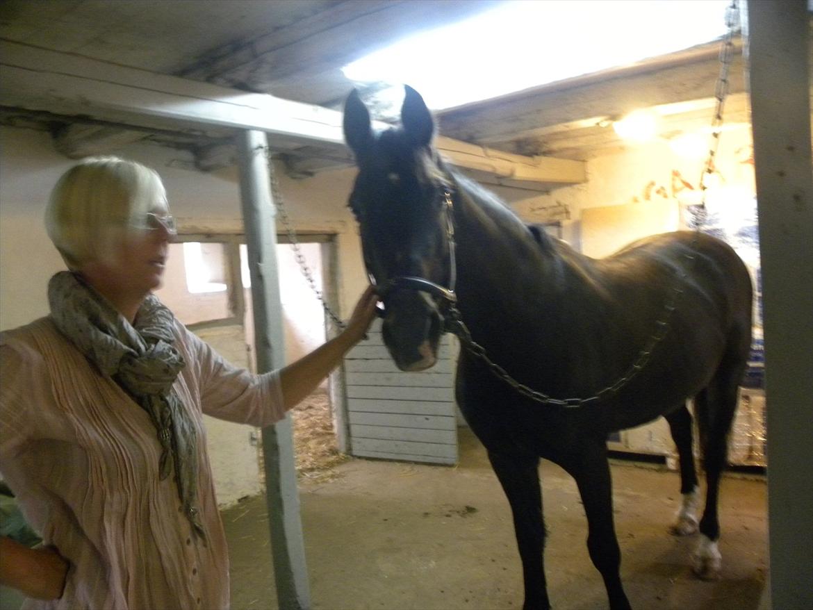 Oldenborg Nicolé <3 billede 14