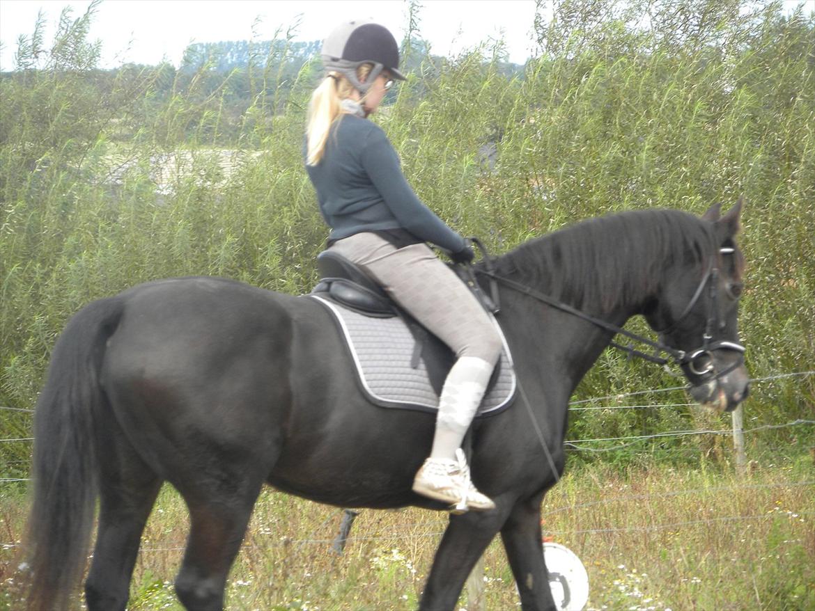 Oldenborg Nicolé <3 billede 15