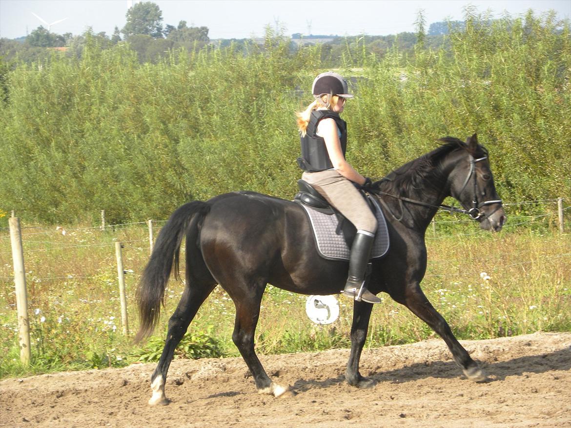Oldenborg Nicolé <3 billede 18