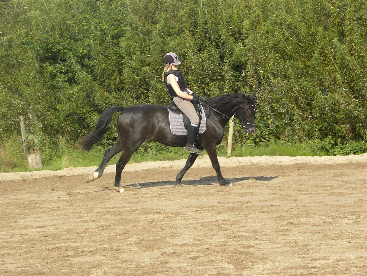 Oldenborg Nicolé <3 billede 19