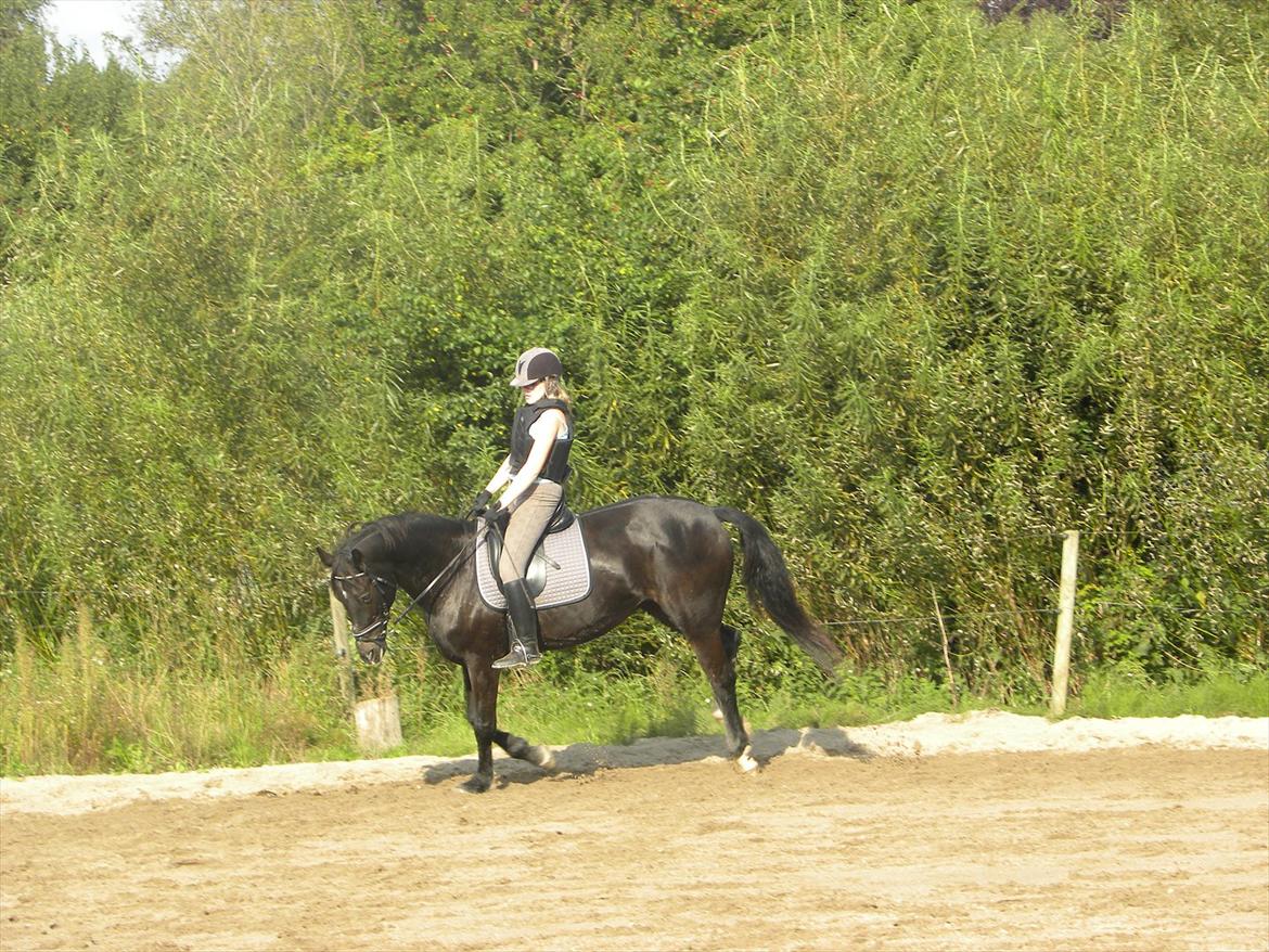 Oldenborg Nicolé <3 billede 20