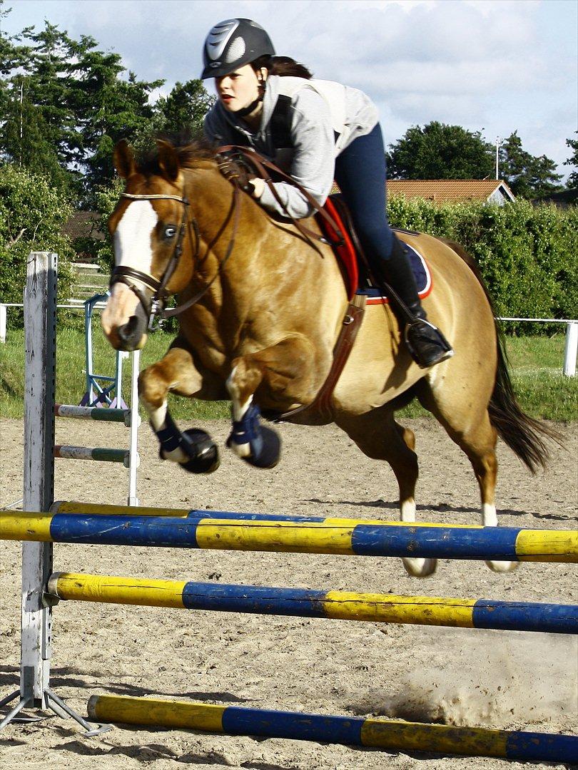 Quarter Frontiers Four Socks billede 3