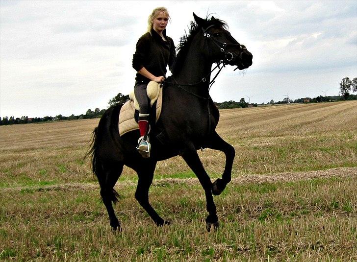 Traver Tøzzen  billede 1