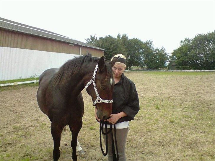 Traver Bella Donna billede 2