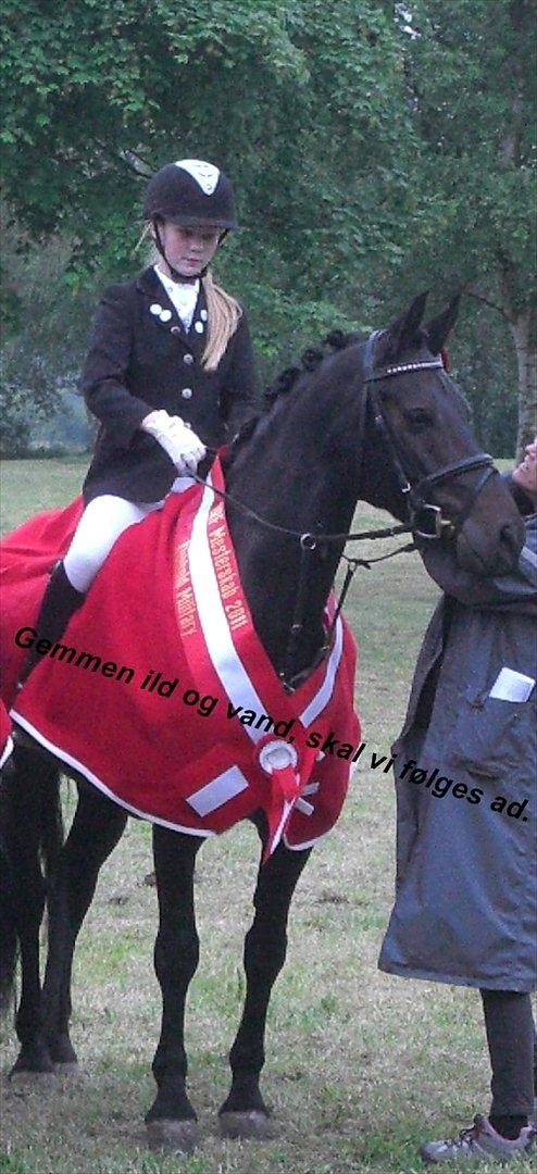 Anden særlig race Thorndals Alpha. billede 13