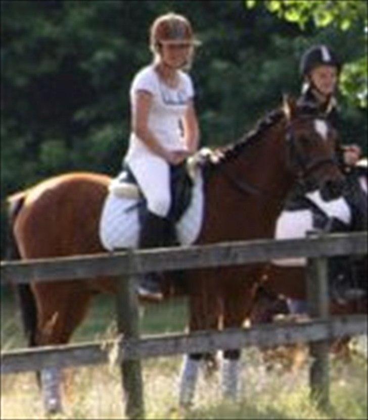 Welsh Partbred (Sec F) Mountain Mehefin (Monty) Solgt :'( - Efter dressurshowet, hvor vi ser spring delen
 ridelejr 2010 billede 4