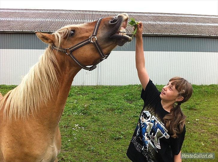 Anden særlig race Valentino <3 *Tino* | My Soulmate|<3 - SMIIIL :D billede 10