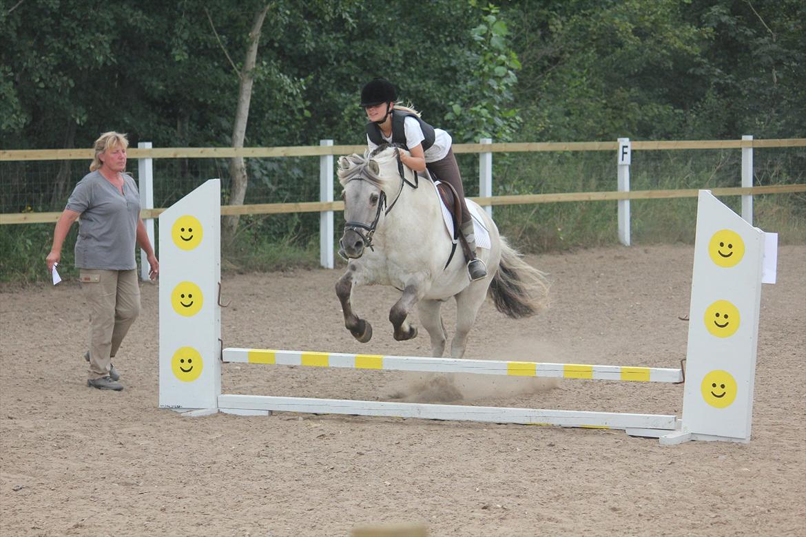 Fjordhest Filur <3 - Smiley spring som vi selv har lavet :) billede 17