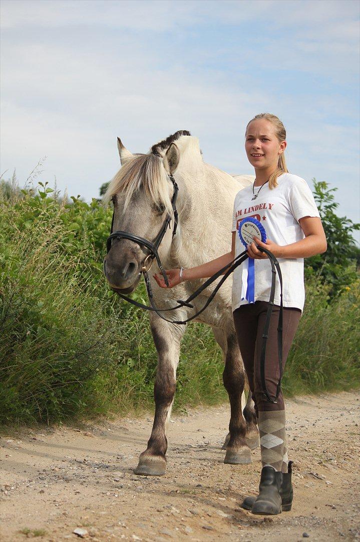 Fjordhest Filur <3 - Da vi skridtede af efter vi havde sprunget :) <3 billede 18