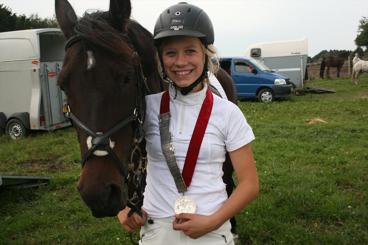 Hollandsk Sportspony Carlo billede 3