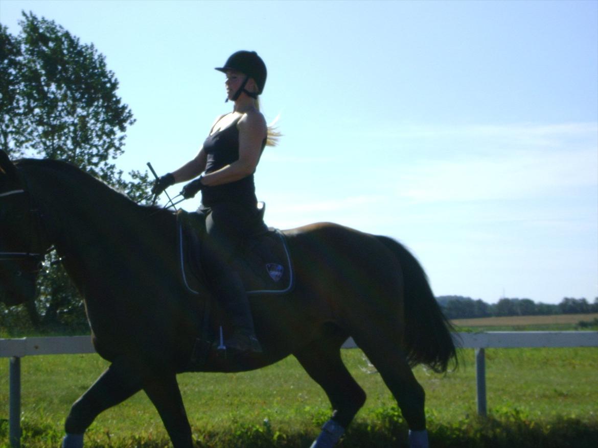 Dansk Varmblod Møllegårdens Cappuccino (Båt) - Båt og jeg August 2011 billede 6