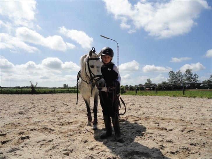 Welsh Mountain (sec A) Fifi billede 13