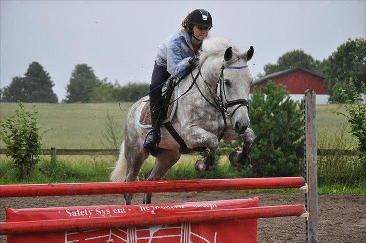 Anden særlig race Jock - SpringCamp´11<3 han var den bedste!<3 billede 16