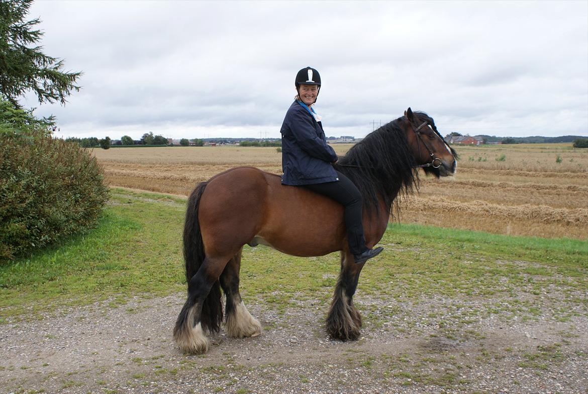 Irish Cob Duke - Min første tur på Duke.  billede 8