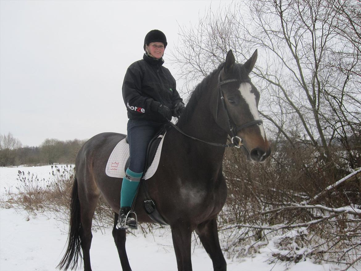 Dansk Varmblod Majestic/Hanniball - Ditte på tur i 2010 billede 17