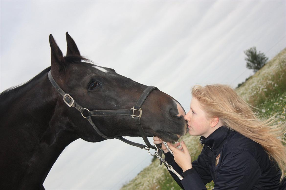 Oldenborg Emma (Dot) Hestbækgård - 

+*.Only you could be so strong,
yet so gentle.*+ <3 billede 16