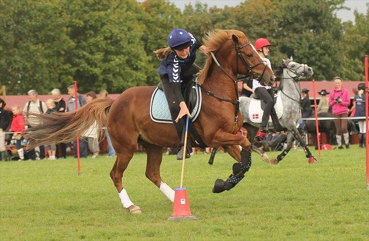 Anden særlig race Red Spirit :)  - DM par 2011 :D
Foto: Liv Møller Jensen billede 16