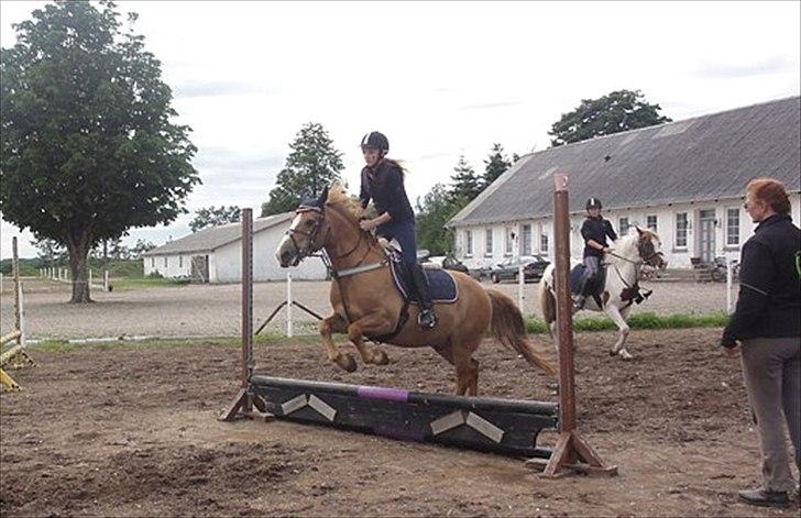Anden særlig race Cavaliére Cadeau - (Calle) - Mega fail! :-D (min skyld)

Foto: Christina Grøndal billede 5