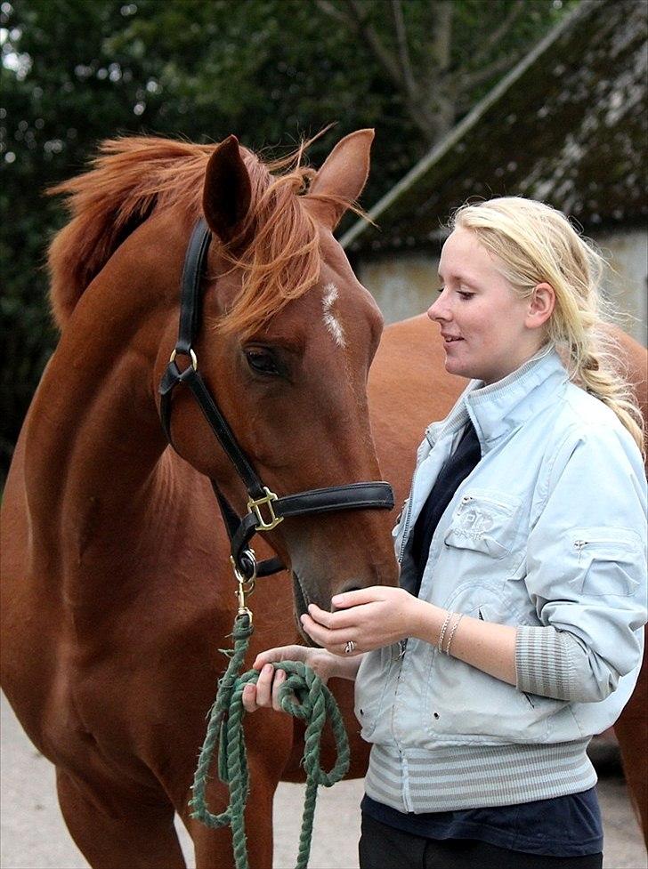 Dansk Varmblod - Tsarina Romanov - Foto: Anne F billede 14