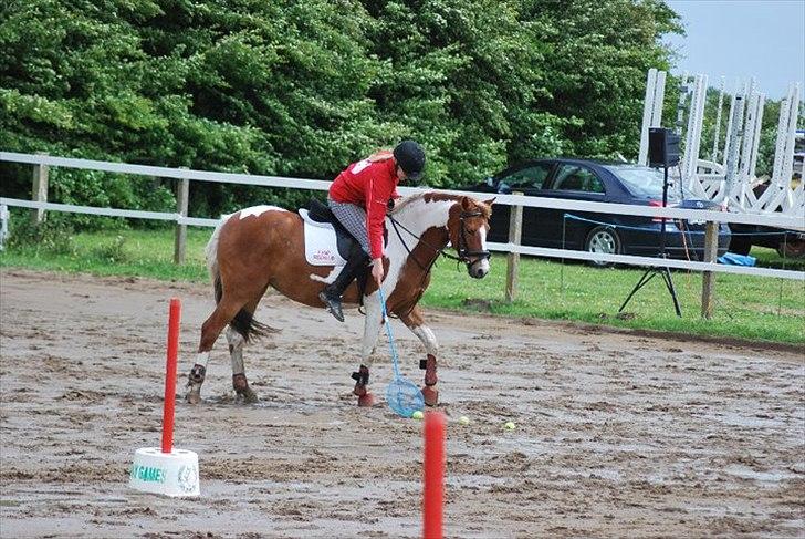 Anden særlig race Donna-ok<33 billede 11