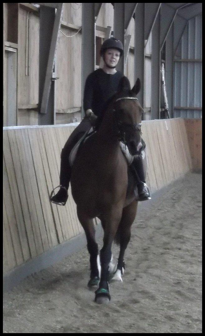 Anden særlig race Mulan billede 16